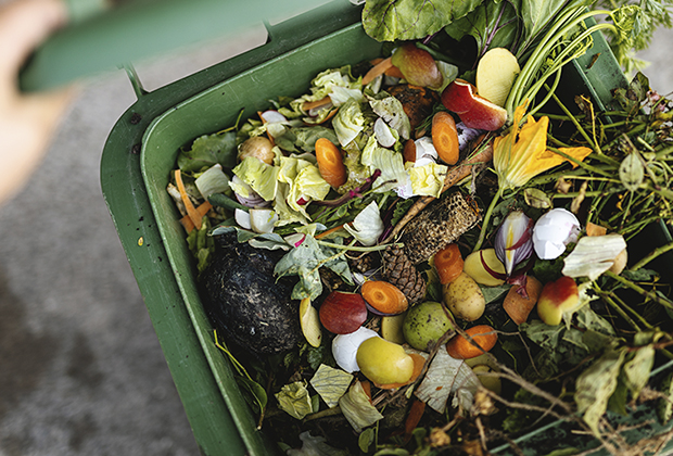 Rohstoffe für Kompost die geeignet sind für die Kompostieranlagen der Qualikomp AG in Emmen